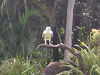 s_A_PICT0036_thumb.png
